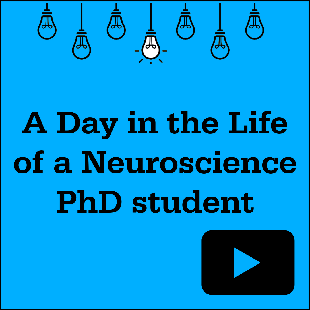 A Day in the Life of a Neuroscience PhD Student