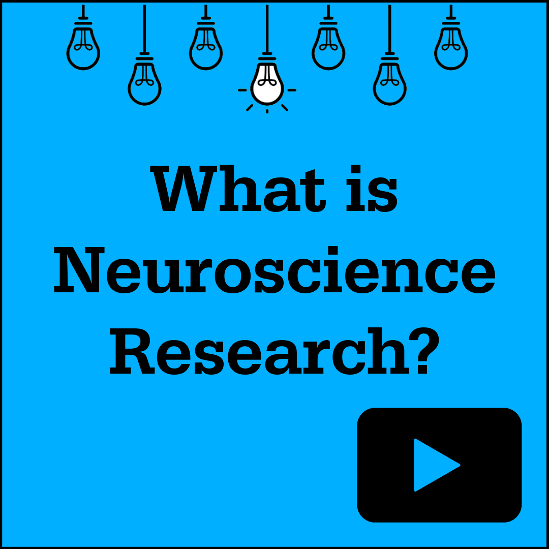 What is Neuroscience Research?