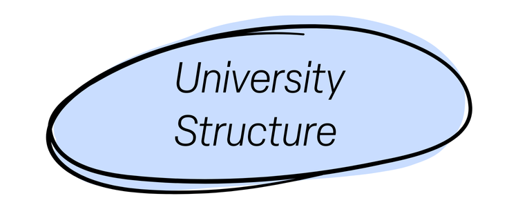 University Structure