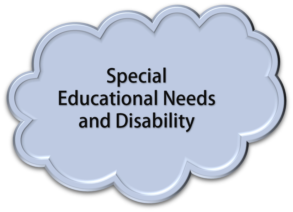 Special Educational Needs and Disability