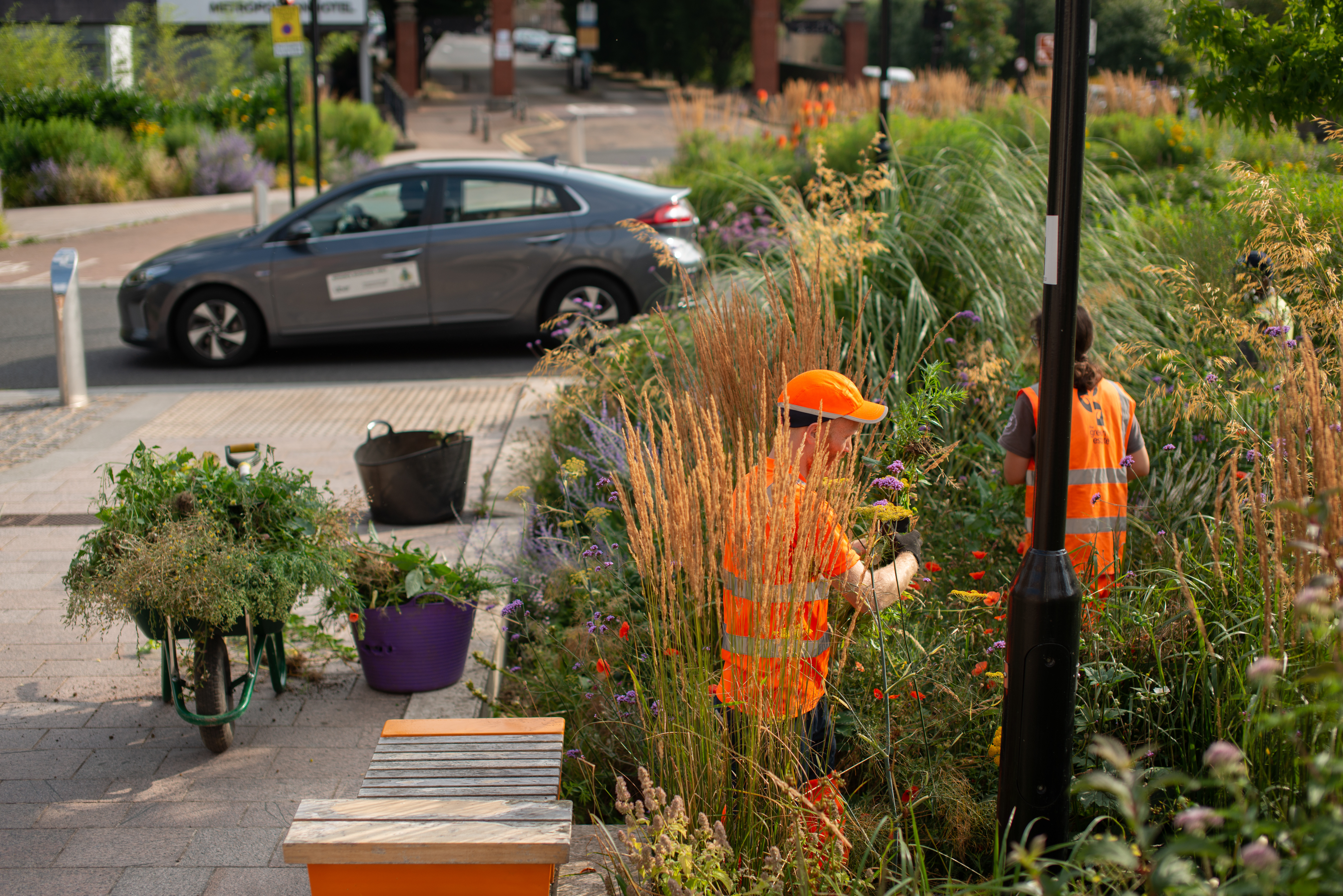 Sustainability and Community Volunteering Opportunities 